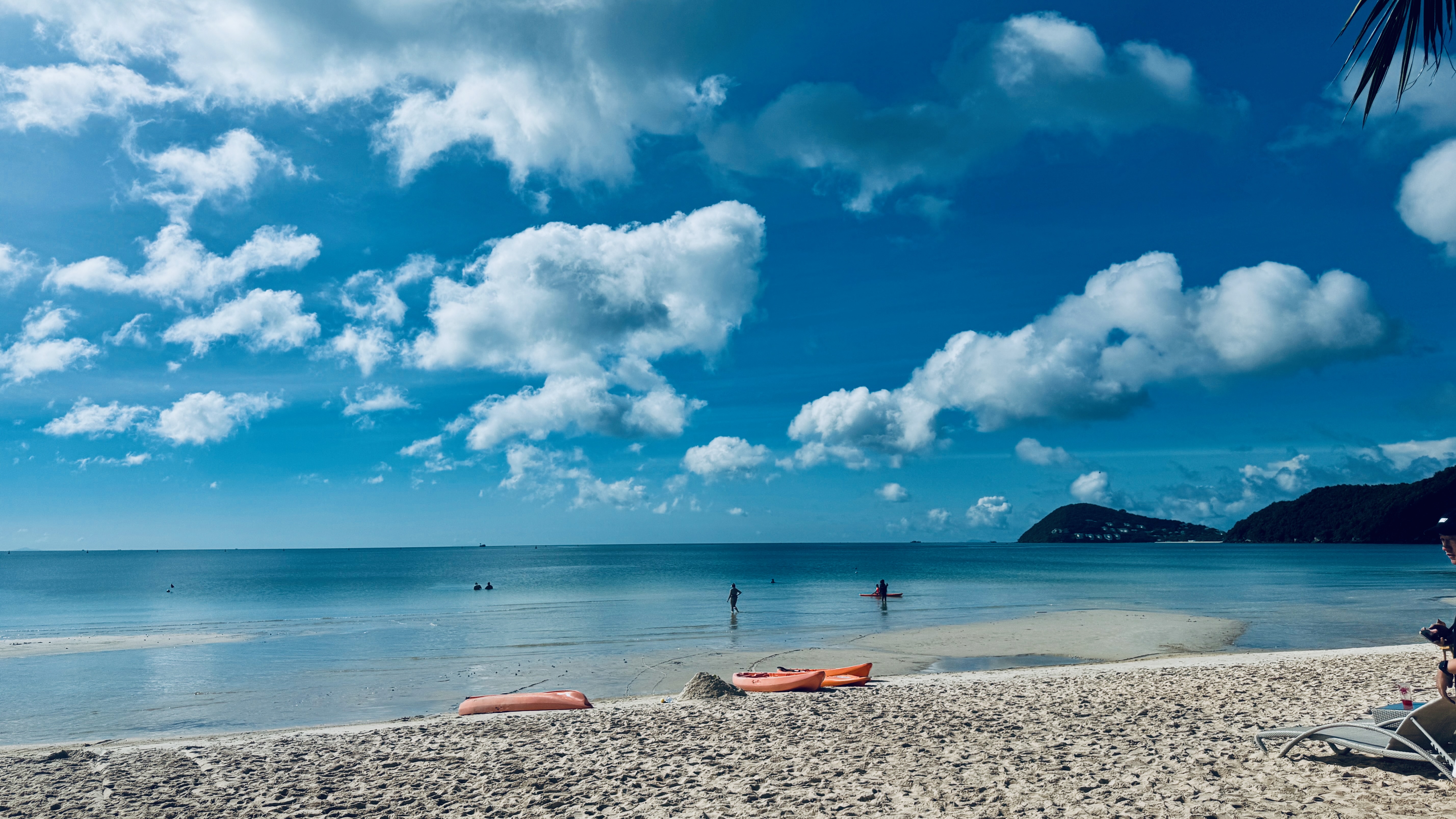 我终于看到了海